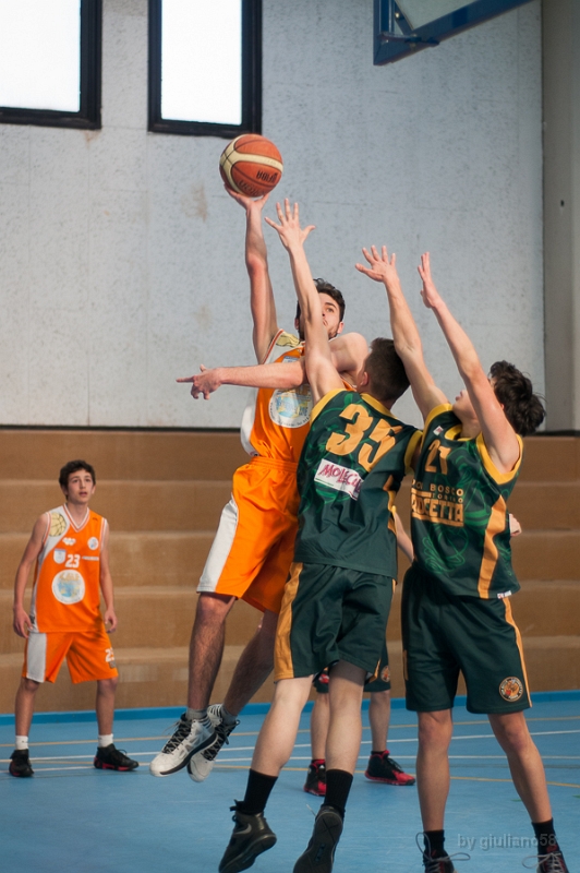 Crocetta 17-4-14-9
